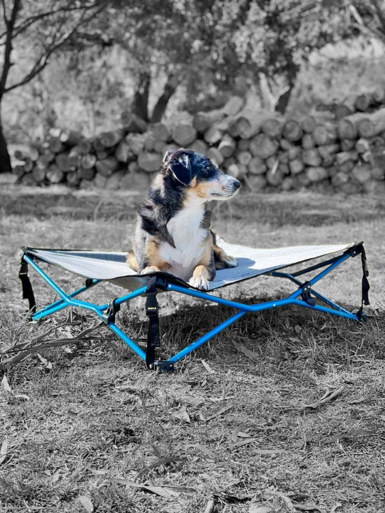 Navigator NAV-061 Dog Camping Bed