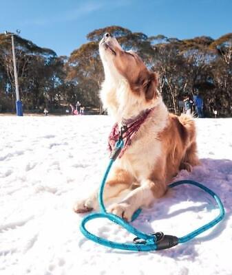 Navigator NAV-049 Dog Leash Buddy