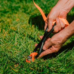 Ground Dog Screw in Peg with Hook Collar