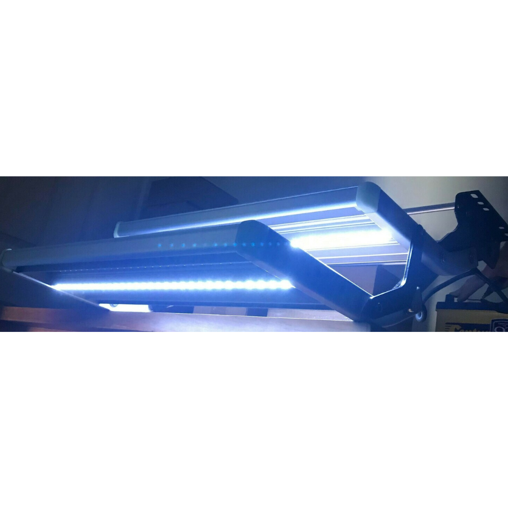 Transeng TRA-DM545LED Double 12v Blue LED Manual Step
