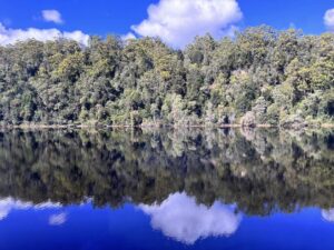 Perfect conditions for a day on the Gordon River